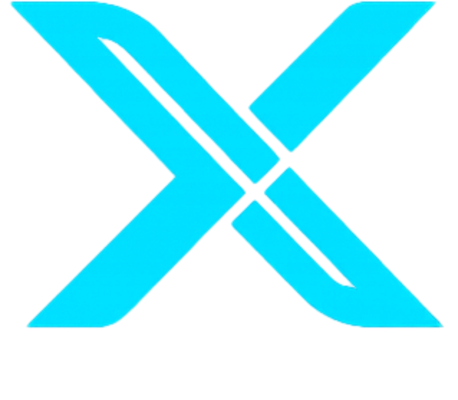 Connexio X